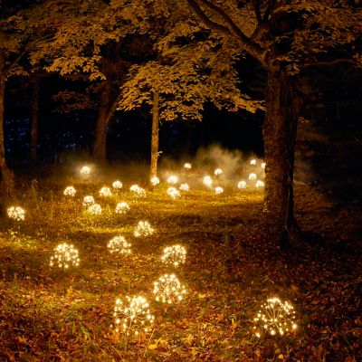 here's a line…  illuminated dandelion