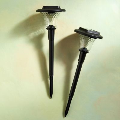 Solar Color-Changing Light Stakes, Set of 2