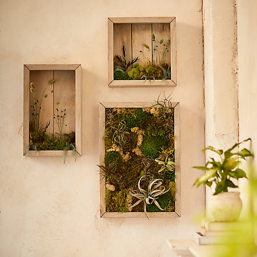 View larger image of Wall-Mounted Plantable Frame