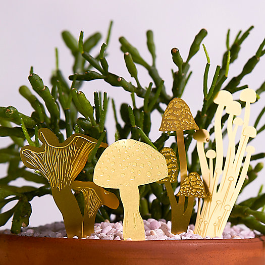 View larger image of Mini Brass Mushroom Stakes