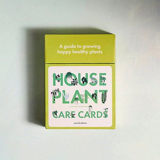 View larger image of Houseplant Care Cards