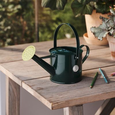 Childrens Galvanized Steel Watering Can