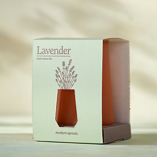 View larger image of Lavender Hydro Grow Kit