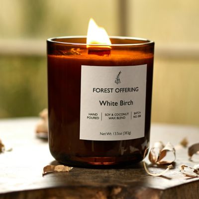 Forest Offering Candle, Winter Birch