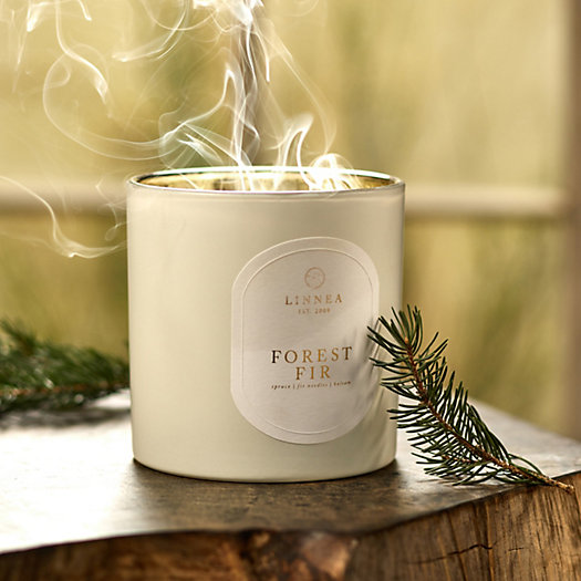 View larger image of Linnea Extra Large Candle, Forest Fir