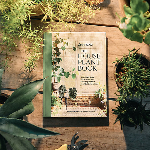 View larger image of The Terrain Houseplant Book