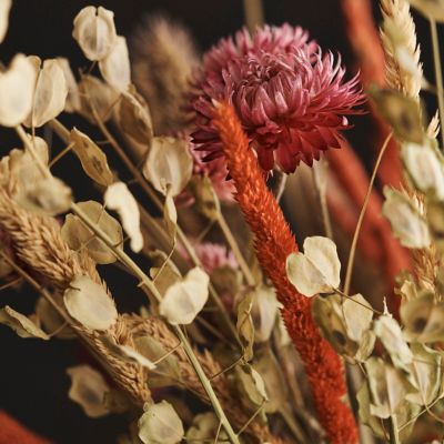 Dried Delphinium Bunch - Terrain