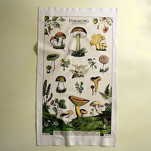 View larger image of Foraging Cotton Dish Towel