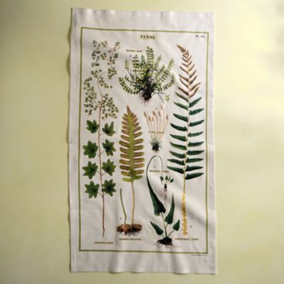 Ferns Cotton Dish Towel