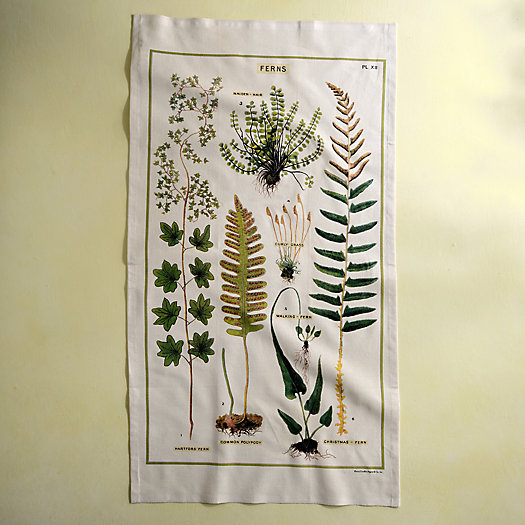 View larger image of Ferns Cotton Dish Towel