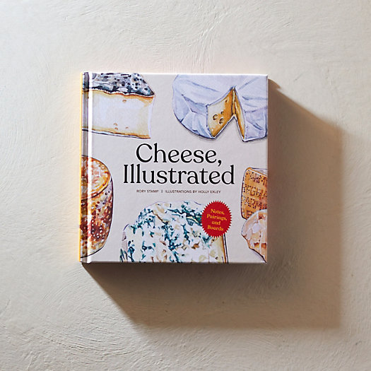 View larger image of Cheese, Illustrated