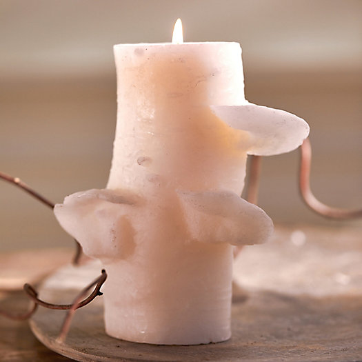 View larger image of Birch Stick Candle
