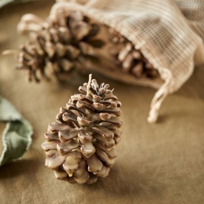 Firestarter Beeswax Pine Cones