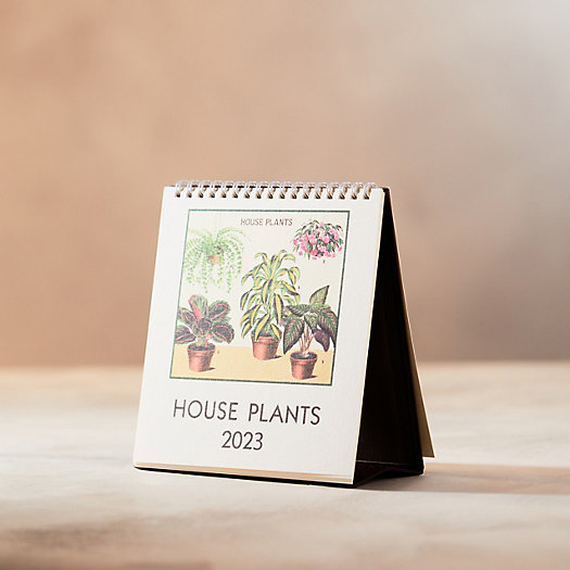 View larger image of Houseplants 2023 Desk Calendar