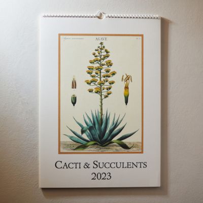 Cacti + Succulent 2023 Wall Calendar