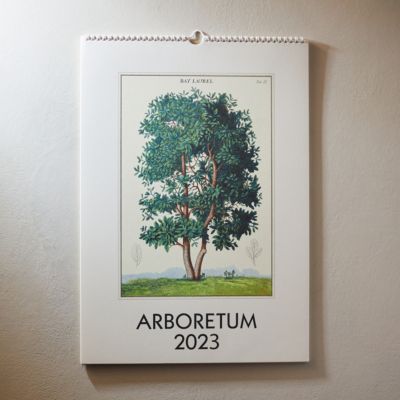 Arboretum 2023 Wall Calendar