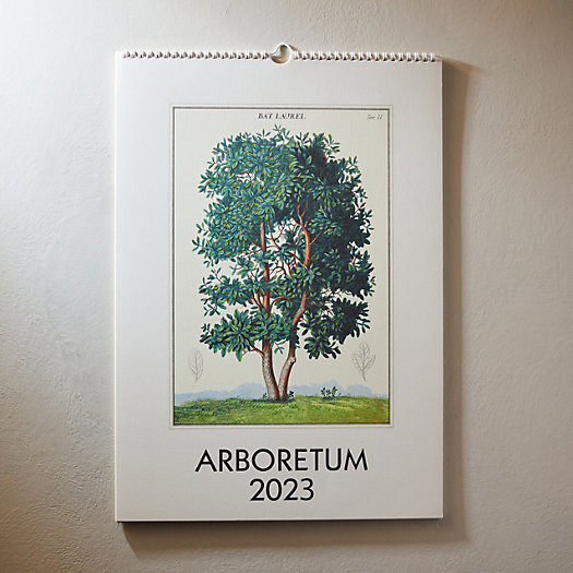 View larger image of Arboretum 2023 Wall Calendar