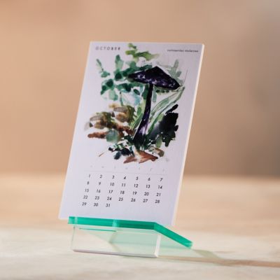 Mushroom 2023 Desk Calendar