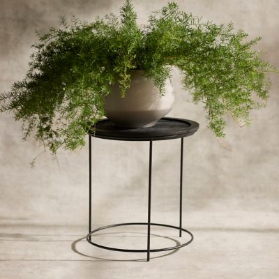 Wood Top Iron Plant Stand