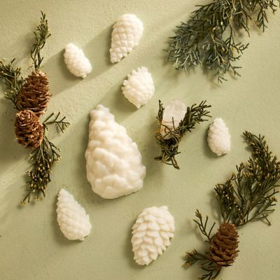 Winter Evergreen Pine Cone Soaps