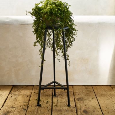 Teak Plant Stand, Tall - Terrain