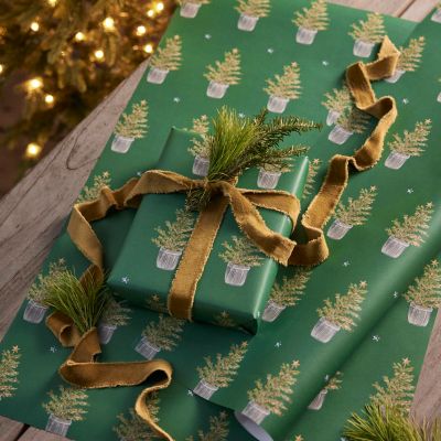 Festive Evergreens Wrapping Paper, Set of 3