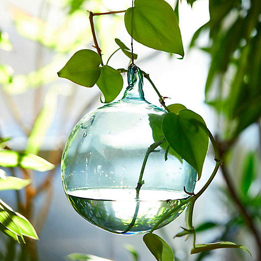 View larger image of Hanging Glass Bud Vase
