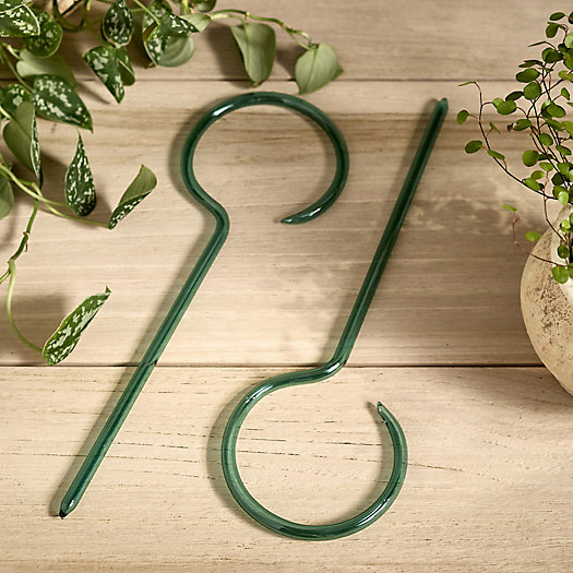 View larger image of Glass Plant Stakes, Set of 2