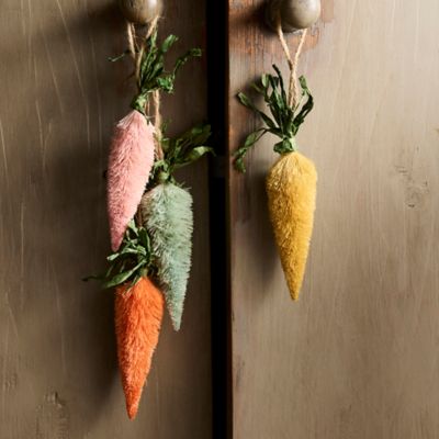 Brush Carrots, Set of 4