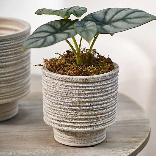 View larger image of Ridged Texture Footed Planter, 4.5"