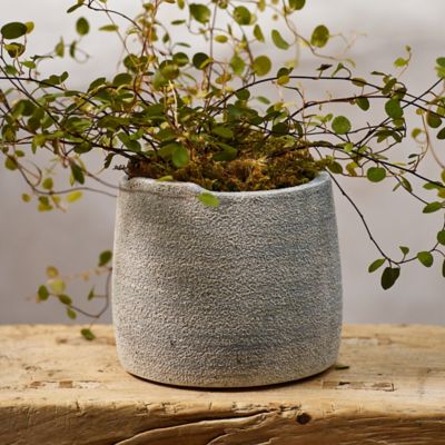 Planters by Size  Small, Medium, Large + Extra Large Plant Pots - Terrain