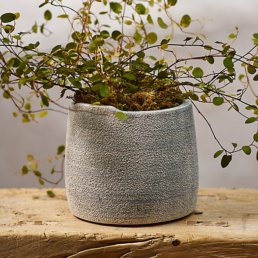 View larger image of Notch Top Ceramic Planter