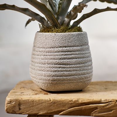 Ridged Textured Ceramic Planter