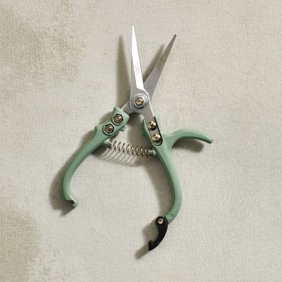 Garden Scissors - Terrain