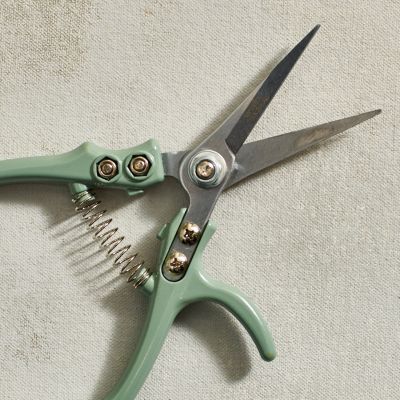 Modern Sprout Pruning Shears