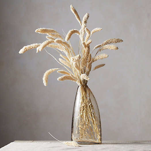 View larger image of Bleached Setaria Bunch
