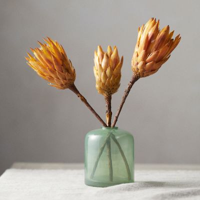  Dried Protea Bunch