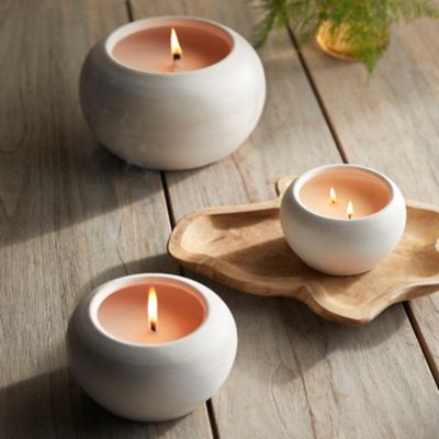 Textured Glass Candle, Grapefruit & Pine - Terrain