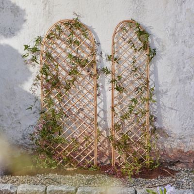 Rounded Top Willow Trellis Terrain