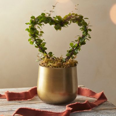 Angel Vine Heart Topiary, Gold Metal Pot