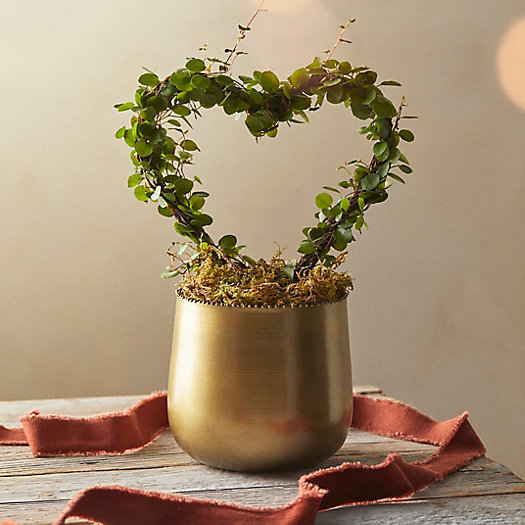 View larger image of Angel Vine Heart Topiary, Gold Metal Pot