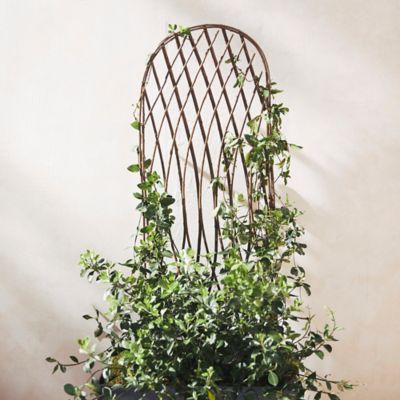 Rounded Top Willow Trellis