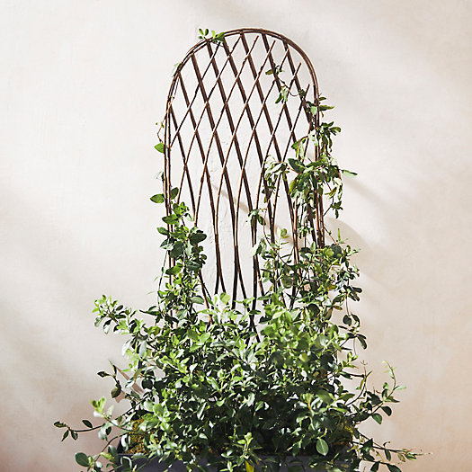 View larger image of Rounded Top Willow Trellis
