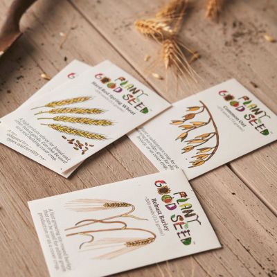 Plant Good Seed Company Great Grains Seed Collection