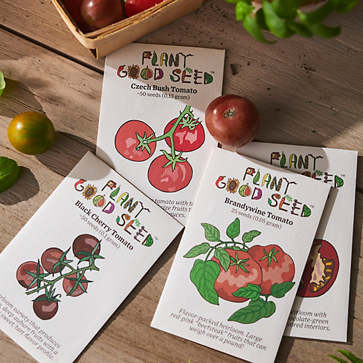 View larger image of Plant Good Seed Company Tomato Seed Collection