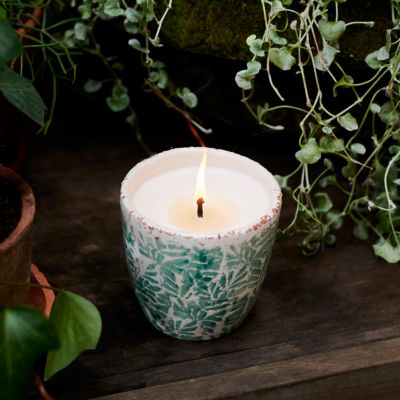 Ceramic Citronella + Thyme Candle, Green Garden