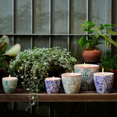 陶瓷香茅+百里香蜡烛,蓝色的常春藤