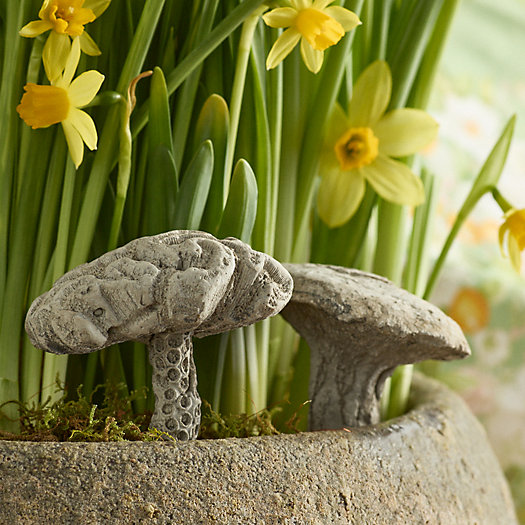 View larger image of  Hermes Mushroom Concrete Stake
