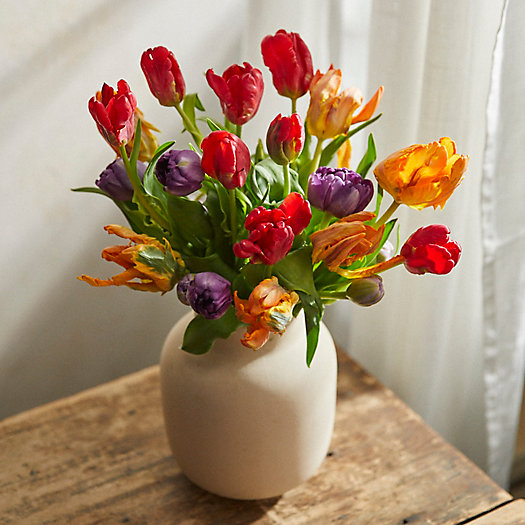 View larger image of Fresh Jewel Tone Tulip Bunch