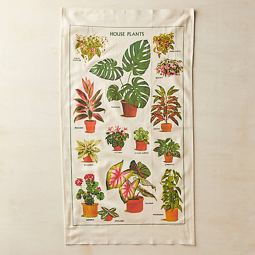 View larger image of Houseplants Cotton Dish Towel